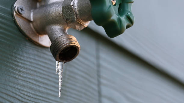 Best Sewer Line Repair  in Watertown, FL